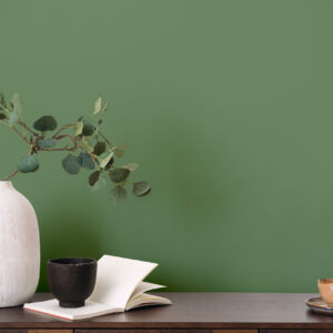 PLAIN UNI | Green Meadow