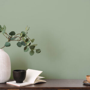 PLAIN UNI | Desert Sage
