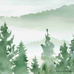 FORET DE SAPINS