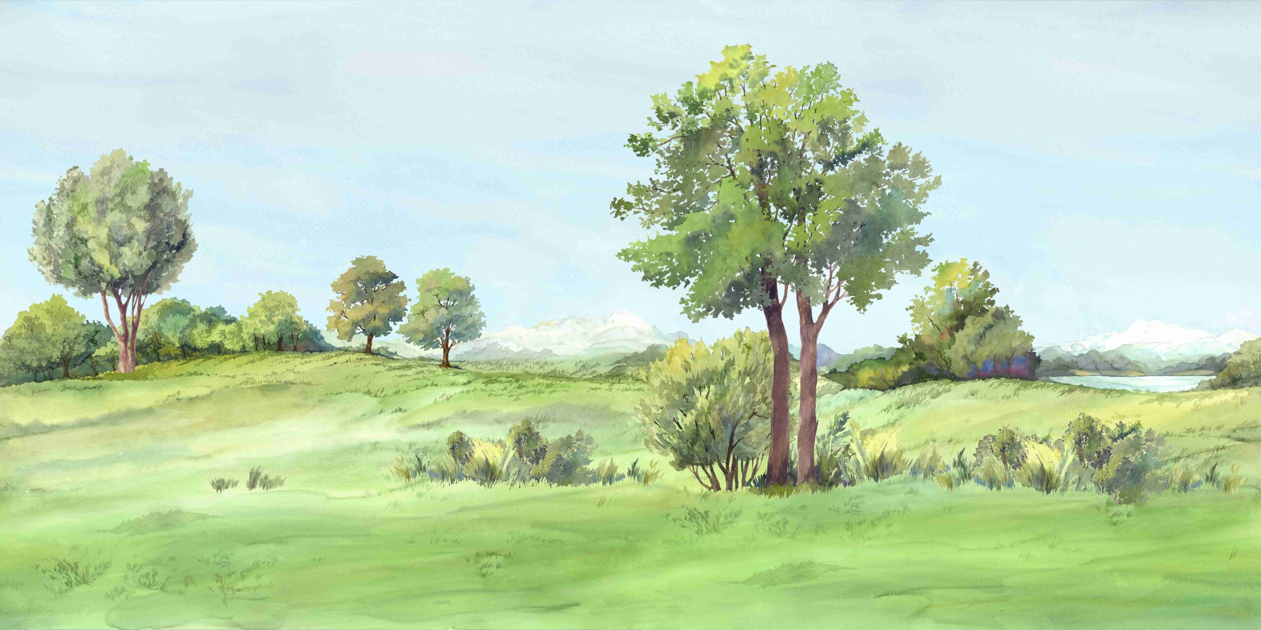 LA PRAIRIE – Image 5