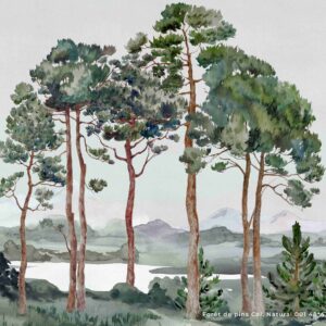 FORET DE PINS