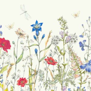 FLEURS DES ALPES
