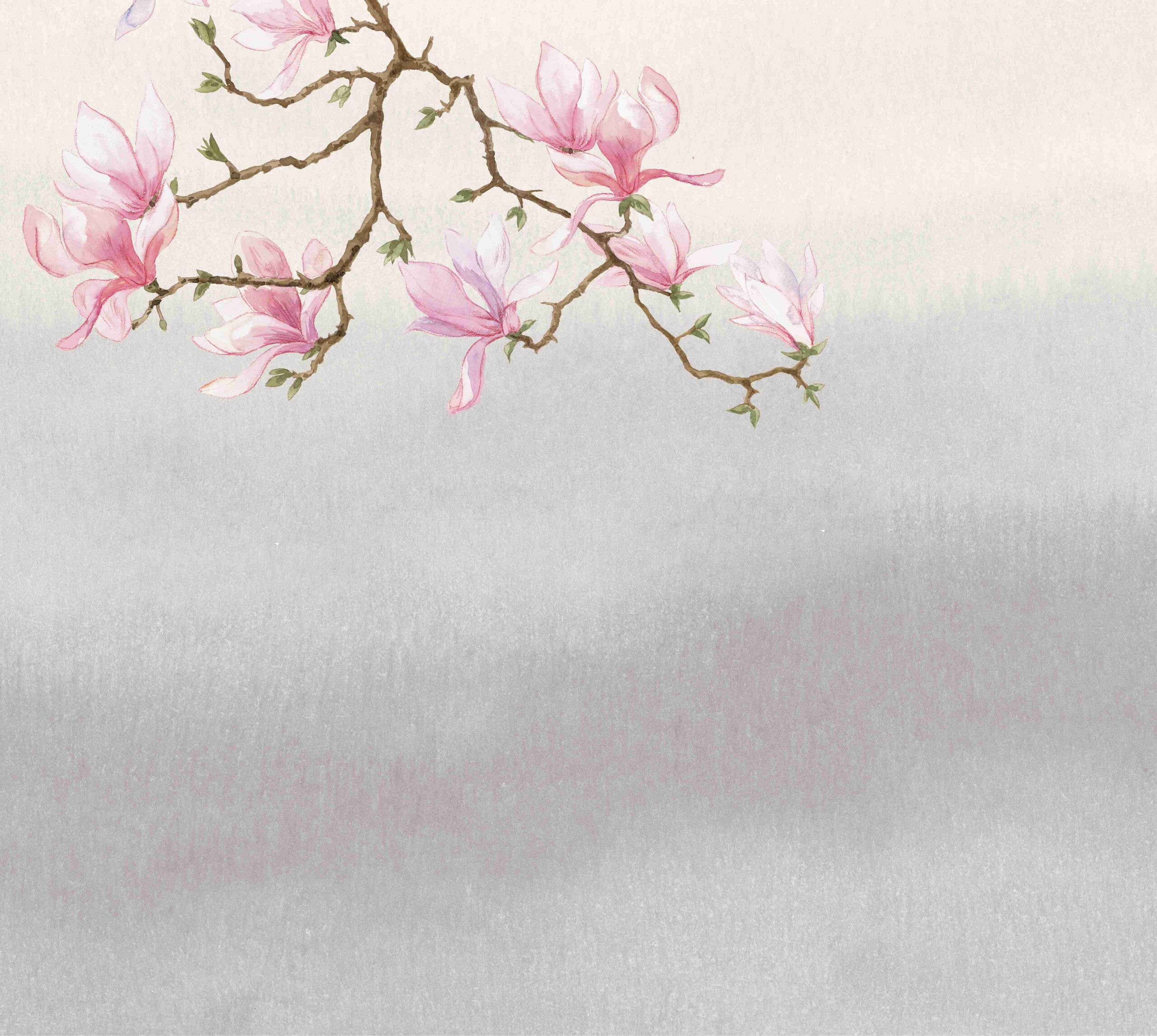 Magnolia leman – Image 11
