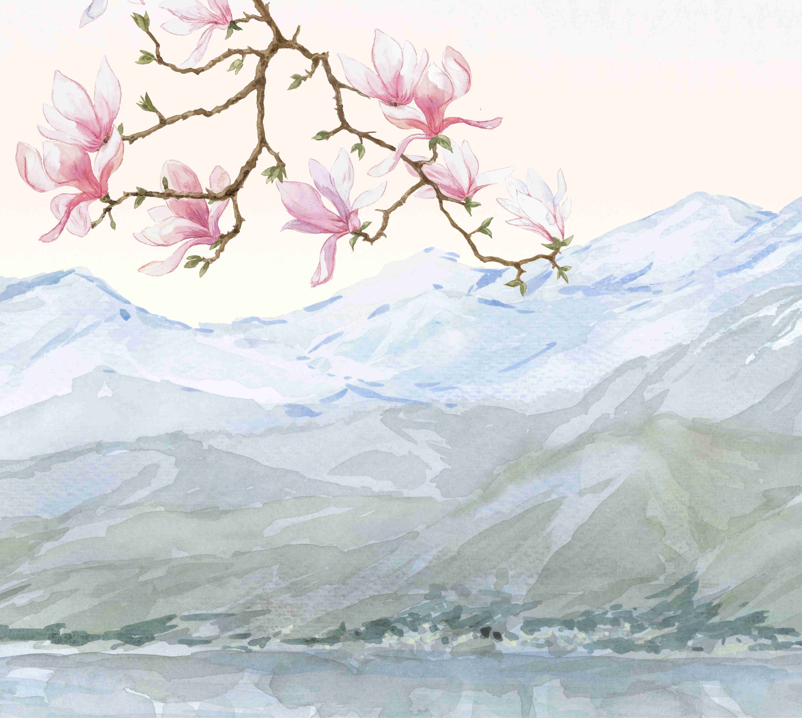 Magnolia leman – Image 7