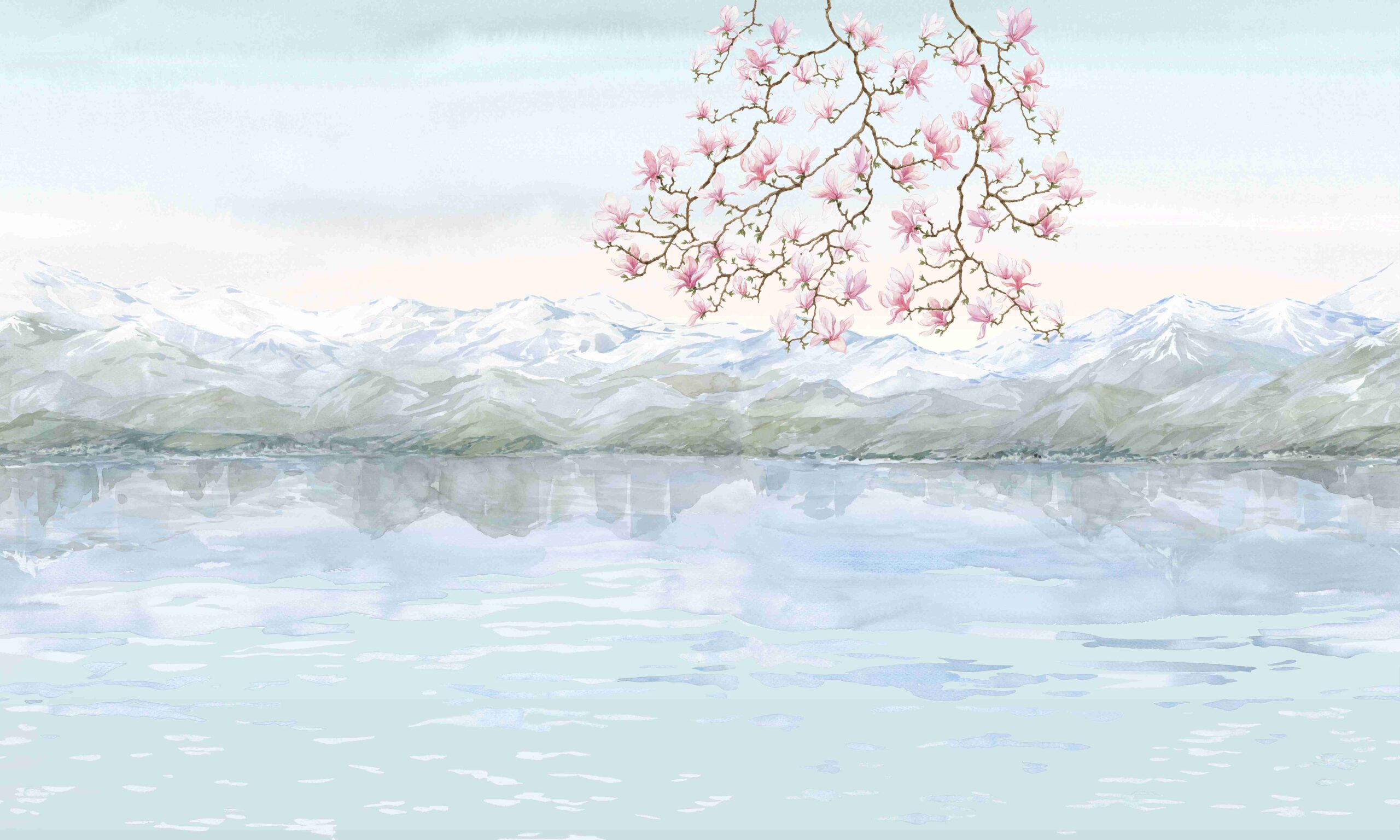 Magnolia leman – Image 9