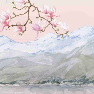 Magnolia leman