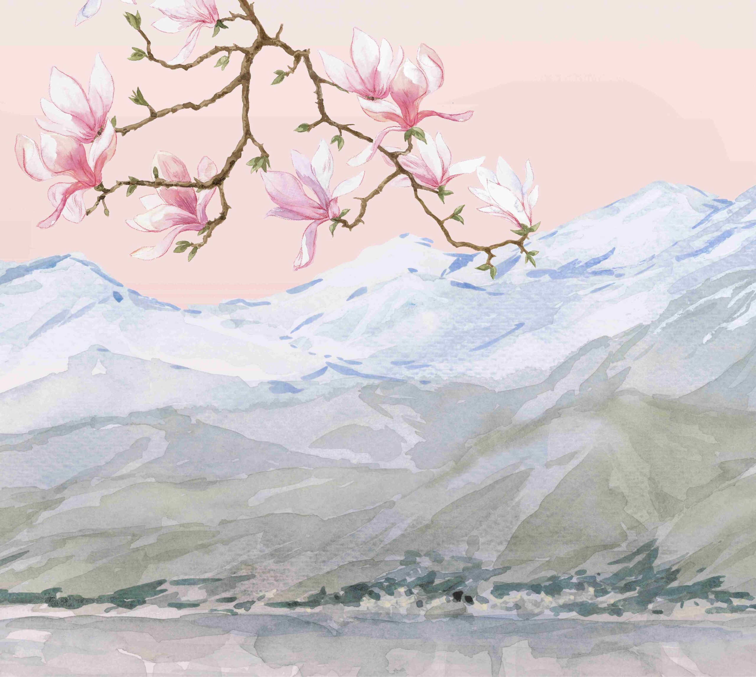 Magnolia leman – Image 15