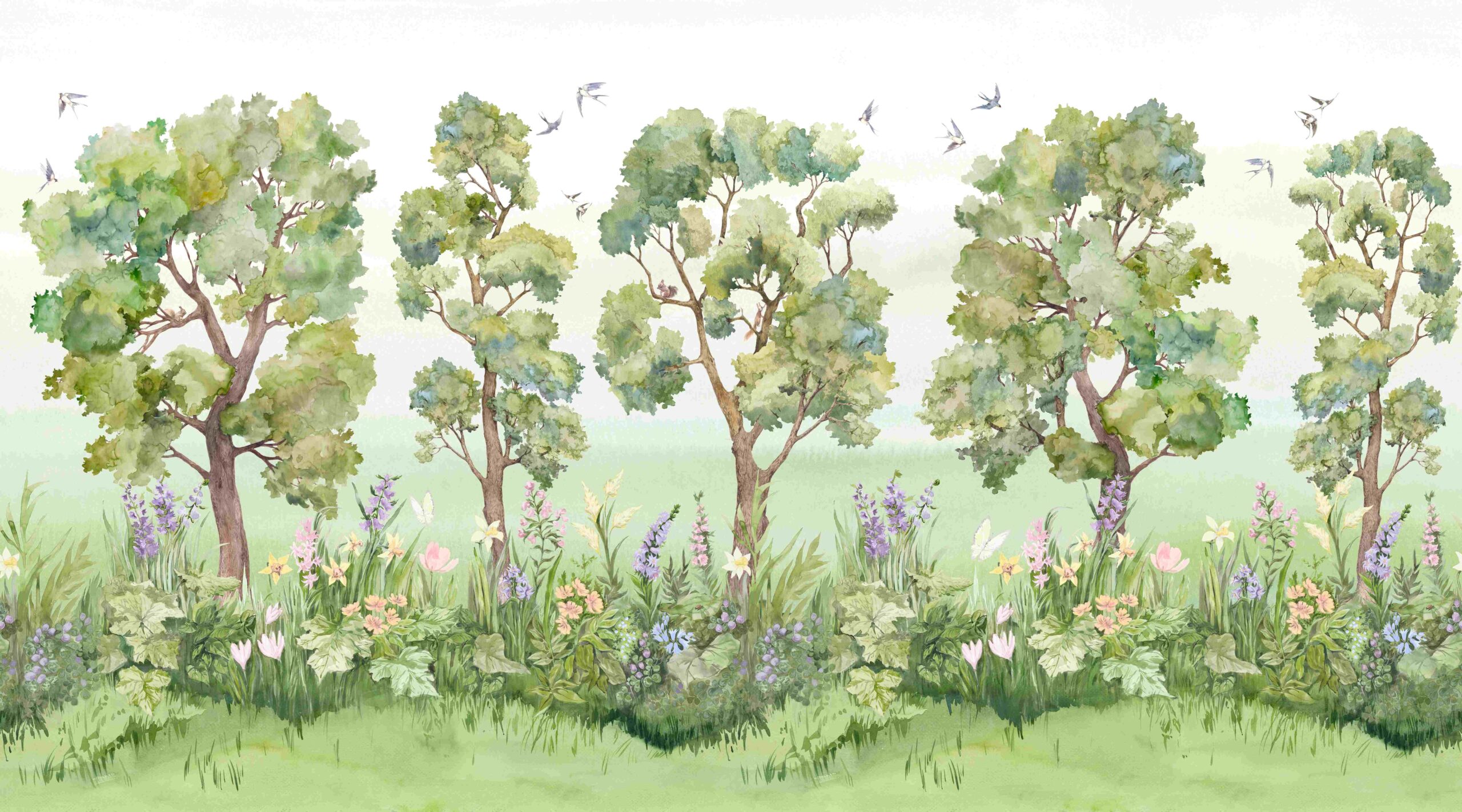 Oak grove – Image 12